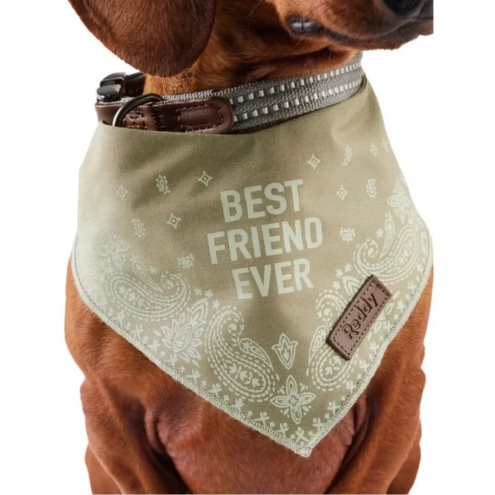 Reddy Bandana Style Pet Scarf 